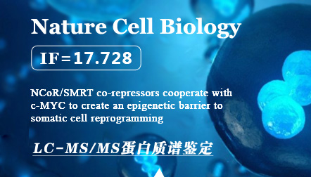 Zhuang Q. et al: NCoR/SMRT co-repressors cooperate with c-MYC to create an epigenetic barrier to somatic cell reprogramming