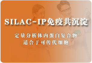 SILAC-IP免疫共沉淀