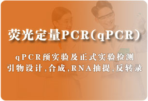 荧光定量PCR (qPCR)
