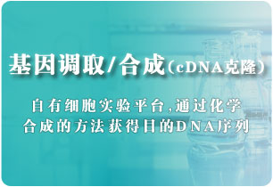 基因调取/合成(cDNA克隆)