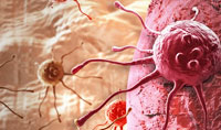 ST6Gal-I 介导的 EGFR 唾液酸化调节细胞力学并增强癌症侵袭