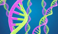 基因组测序推动线粒体疾病研究取得进展