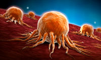 研究揭示了肿瘤如何获得附近细胞的支持