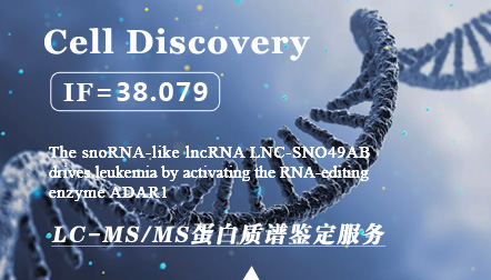 Huang W. et al: The snoRNA-like lncRNA LNC-SNO49AB drives leukemia by activating the RNA-editing enzyme ADAR1