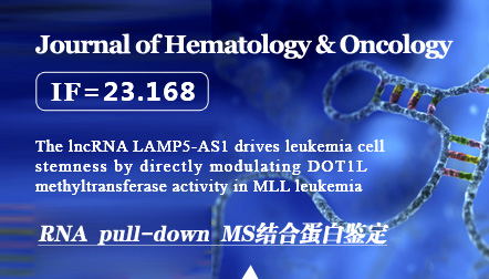 Wang W.T. et al: The lncRNA LAMP5-AS1 drives leukemia cell stemness by directly modulating DOT1L methyltransferase activity in MLL leukemia