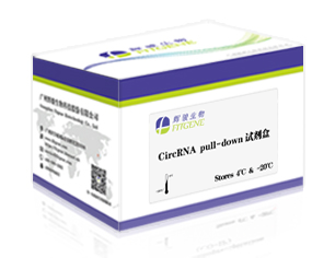 CircRNA pull-down试剂盒