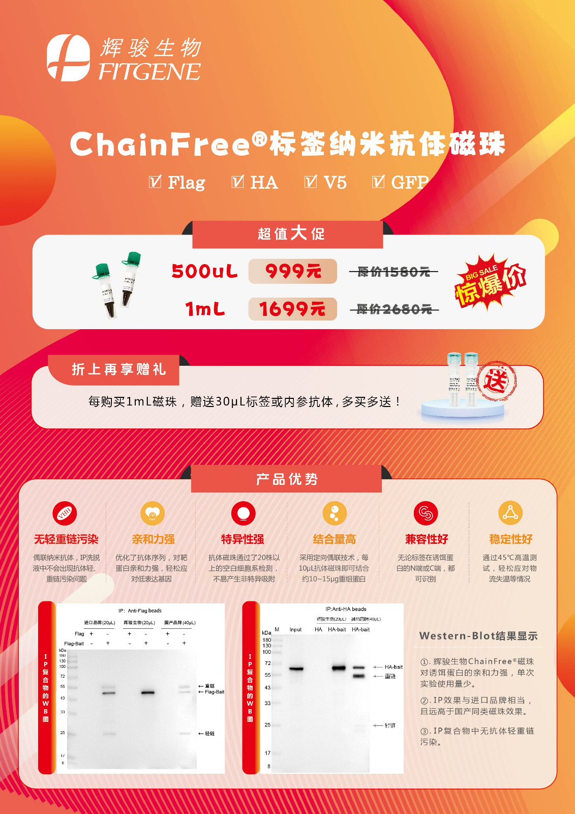 2025磁珠促销-01.jpg