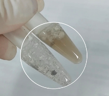 普通磁珠相互聚集结块-辉骏生物纳米抗体磁珠可有效解决聚团现象