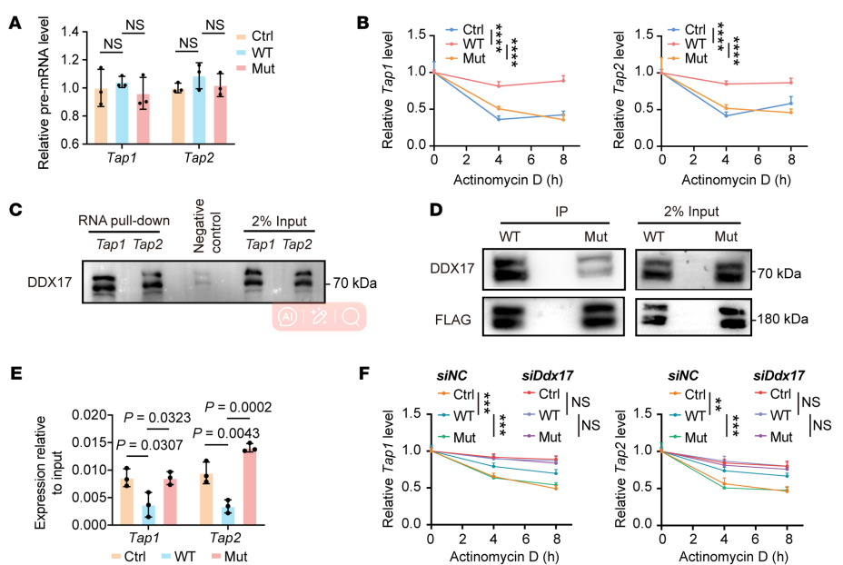 Cai Y.W. et al: MAP3K1 mutations confer tumor immune heterogeneity in hormone receptor–positive HER2-negative breast cancer.