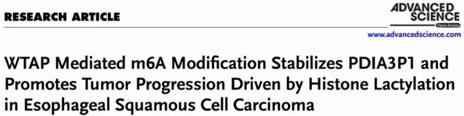 辉骏生物RNA pulldown试剂盒客户文献.png 辉骏生物RNA pulldown试剂盒客户文献.png