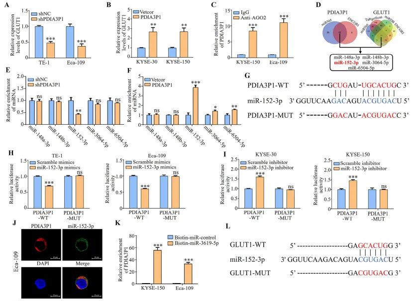 1758783343934263.jpg 图1.jpg