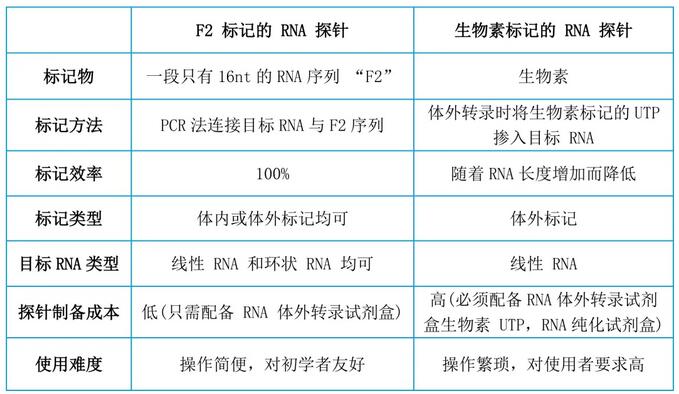 F2标记的RNA探针与生物素标记的RNA探针对比图-辉骏生物客户发表IF>10RNA pulldown文献 F2标记的RNA探针与生物素标记的RNA探针对比图-辉骏生物客户发表IF>10RNA pulldown文献