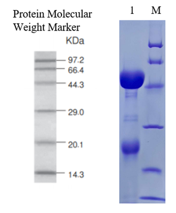 1765440217114296.png 1765440217114296.png