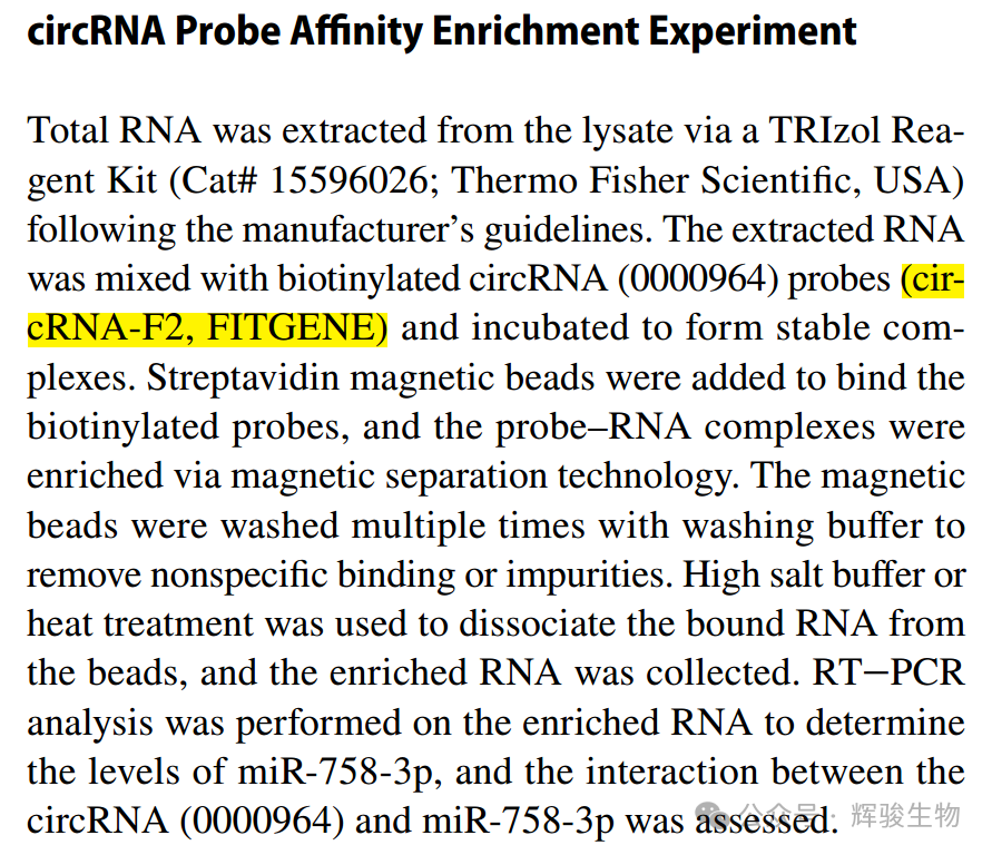 辉骏生物circRNA pull down客户应用案例-circRNA Pull-Down 试剂盒（货号：FI8710）.png