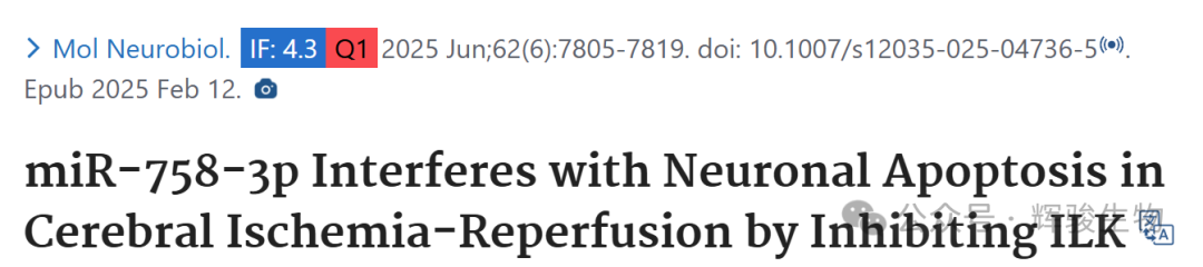  辉骏生物circRNA pull down客户应用案例 .png