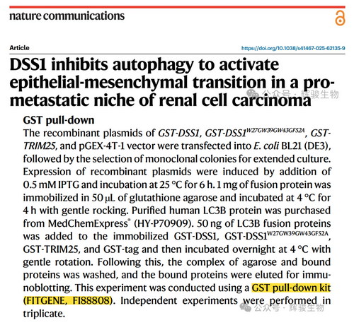 辉骏生物GST pull-down试剂盒—pulldown文献客户应用案例.png