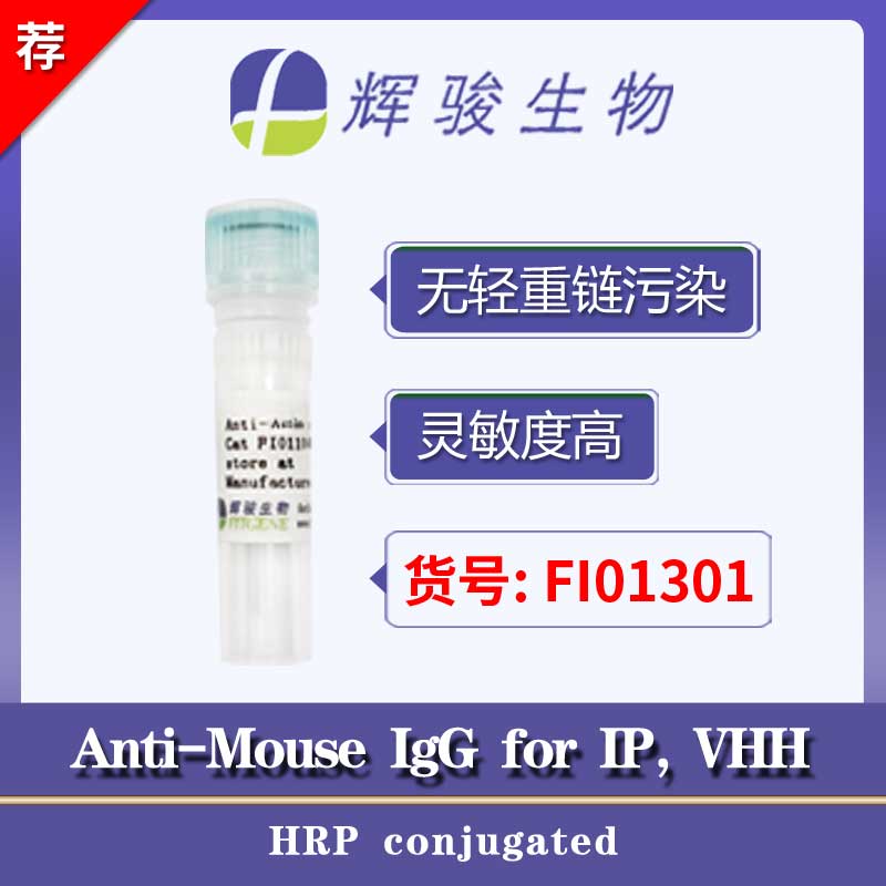 [FI01301] Anti-Mouse IgG for IP (HRP conjugated)