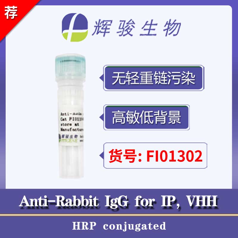 [FI01302] Anti-Rabbit IgG for IP (HRP conjugated)