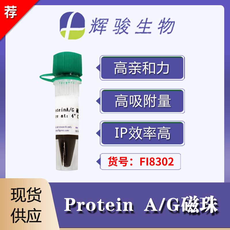 [FI8302] Protein A/G磁珠
