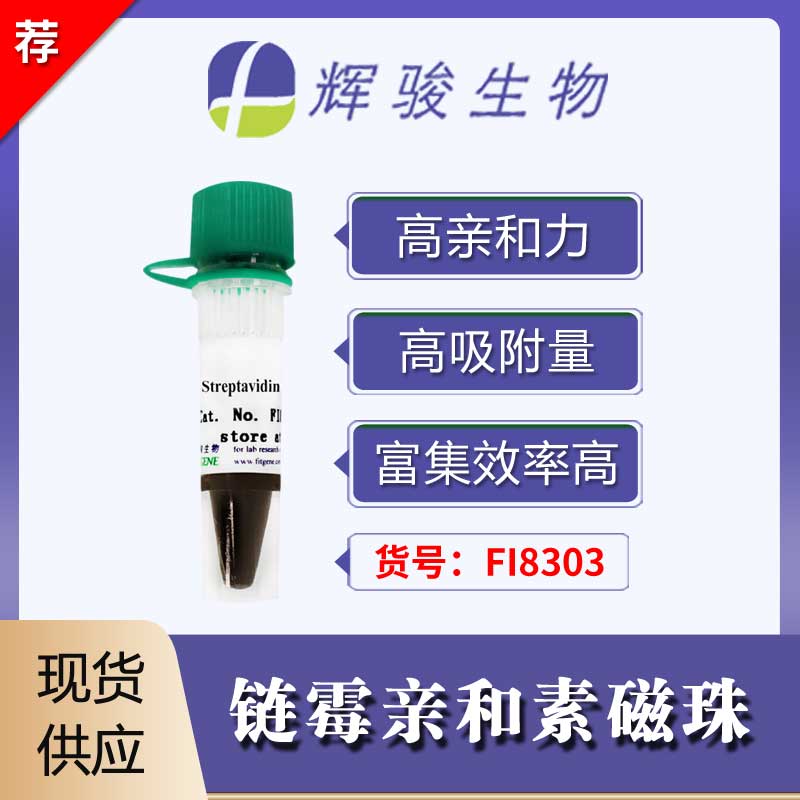 [FI8303] 链霉亲和素磁珠