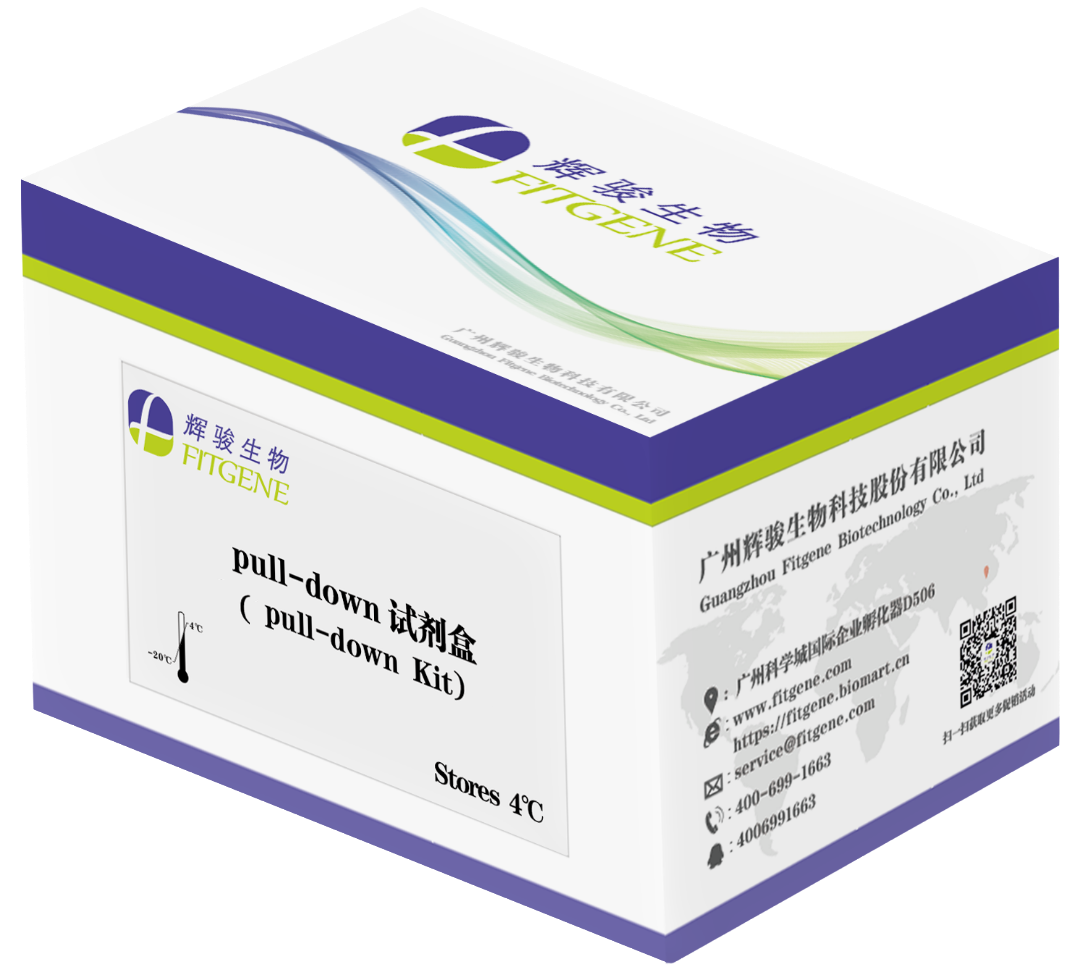 [FI8805] His pull-down试剂盒