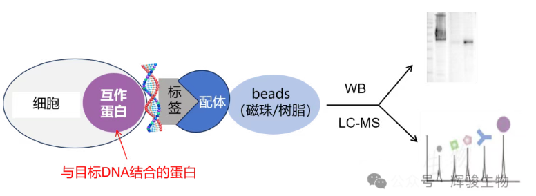 1783062398697545.png image.png