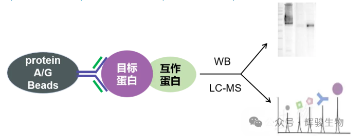 1784020029131165.png image.png