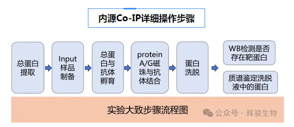 1784020052673920.png image.png