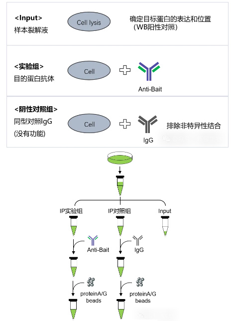 1784020090293864.png image.png
