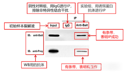 1784020158752410.png image.png