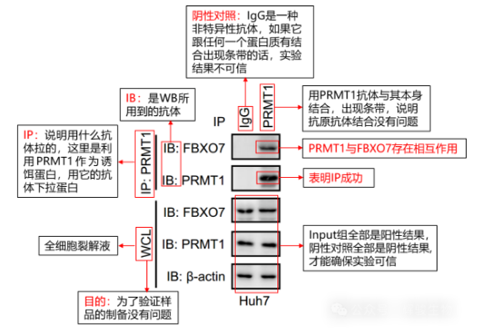 1784020334832578.png image.png