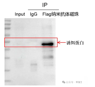 1784020397509410.png image.png