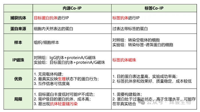 辉骏生物内源Co-IP与标签Co-IP对比.png