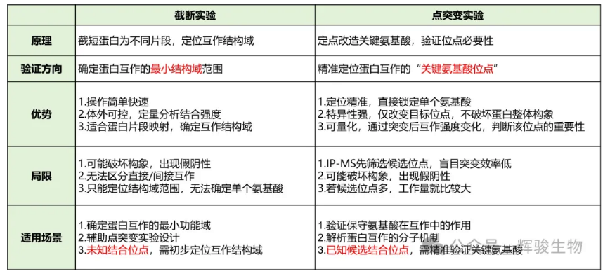 为什么还要做截短体和点突变的原因-辉骏生物.png