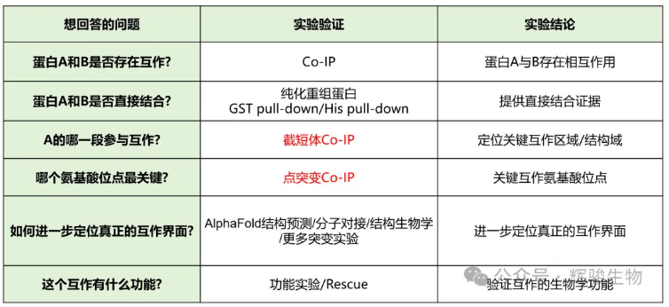 寻找蛋白互作的结构域和关键氨基酸位点-辉骏生物总结.png