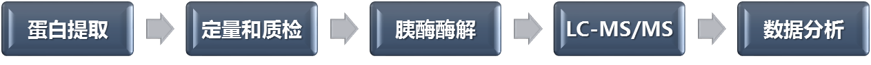 Label free技术流程-辉骏生物 Label free技术流程-辉骏生物