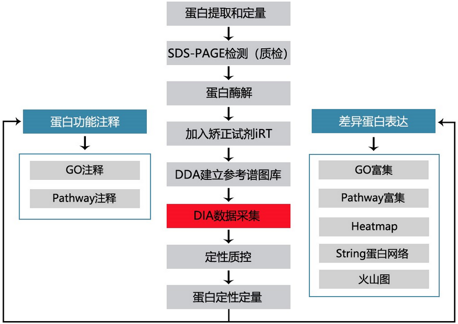 DIA非标定量 DIA非标定量
