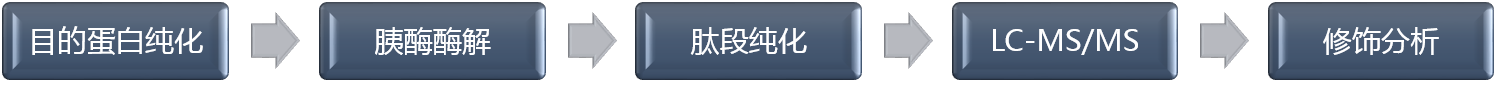 LC-MS蛋白修饰位点鉴定技术流程.png LC-MS蛋白修饰位点鉴定技术流程.png