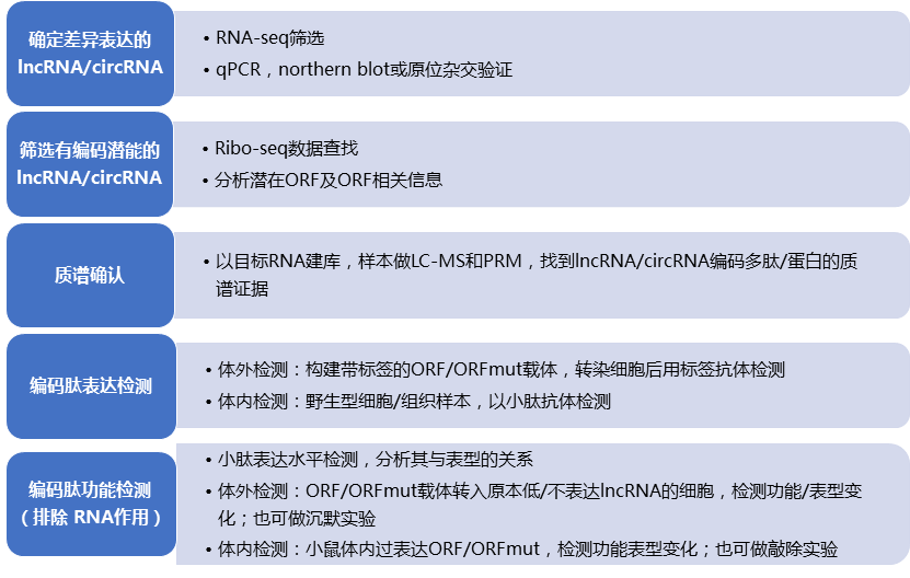 lncRNA技术流程.png lncRNA技术流程.png